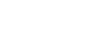 magnaslogistics new logo